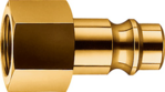 Articolo immagine Plug nipple EWO