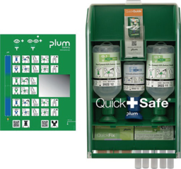 Article picture QuickSafe Box Basic befüllt PLUM