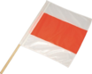 Articolo immagine Warning flag