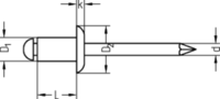 Schizzo Blind rivet standard