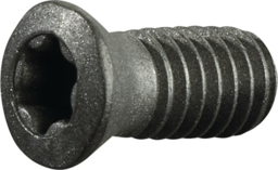 Articolo immagine Spannschraube US 4011 Gr.T15 f.APKT…16…