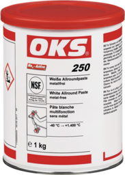 Image de l'article Weiße Allroundpaste OKS 250 weiß 1kg Dos