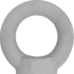 Articolo immagine Ringmutter DIN 582 Gew.M10 STA C15 ZN 50