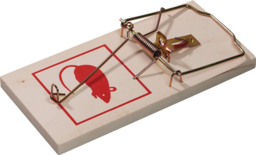 Image de l'article Schlagfalle Rattenfalle 170x80x10mm NOW