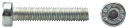 Article picture Zylinderschrauben mit Innensechskant, niedriger Kopf 8.8