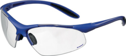 Articolo immagine Schutzbrille DAYLIGHT PREMIUM EN 166 Büg