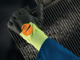 Image de l'article Handschuhe HyFlex® 11-427 Gr.10 grau/hel