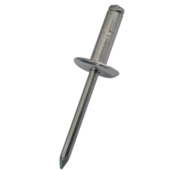 Article picture Bighead Gesipa 2