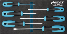 Articolo immagine Werkzeugmodul 163-265/6 6-tlg.HAZET