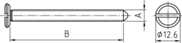 Schizzo FSN-SHR w.tip