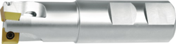 Articolo immagine Schaftfräser D.20mm vern.m.IK Z.2 SOMT 0