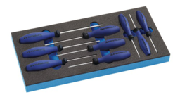 Articolo immagine Werkzeugmodul 9-tlg.1/3-Modul T 6-T 30 P