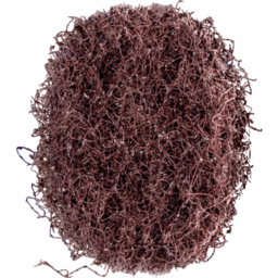 Article picture Schleifvliesscheibe POLINOX D.40mm mediu