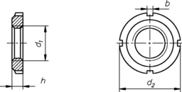Schizzo groove nut FG vers.W DIN 1804