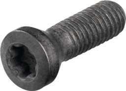 Articolo immagine Spannschraube WS 35 PROMAT