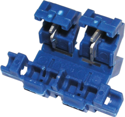 Articolo immagine SCHRNGS-HLTR CUKST BL 2-20A