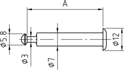 Schizzo End cap bolt ZYKO f.8