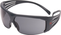 Articolo immagine Schutzbrille SecureFit™-SF600 EN 166 Büg