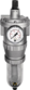 Articolo immagine Filter regulator RIEGLER