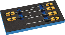 Articolo immagine Werkzeugmodul 6-tlg.1/3-Modul Schlitz/PH