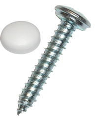 Image de l'article Lentille tête vis plaque de voiture en tôle + capuchon