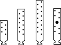 Schizzo 2 Profile anchor PROFA SIMPSON