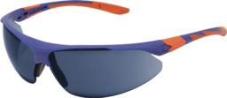 Articolo immagine Schutzbrille Stealth™ 9000 EN 166 EN 170
