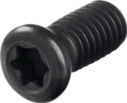 Articolo immagine Spannschraube WS0512 Gr.T20 PROMAT