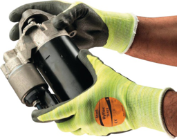 Image de l'article Handschuhe HyFlex® 11-423 Gr.10 grau/hel