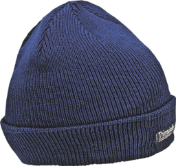 Image de l'article Arbeitsmütze Thinsulate univ.marine TERR