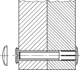 Immagine dell'applicazione Flat head cap f.FSN-SHR M6